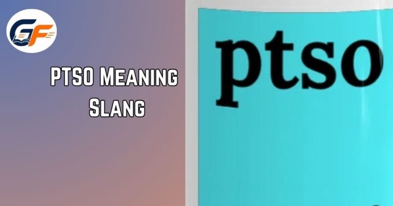 PTSO Meaning Slang