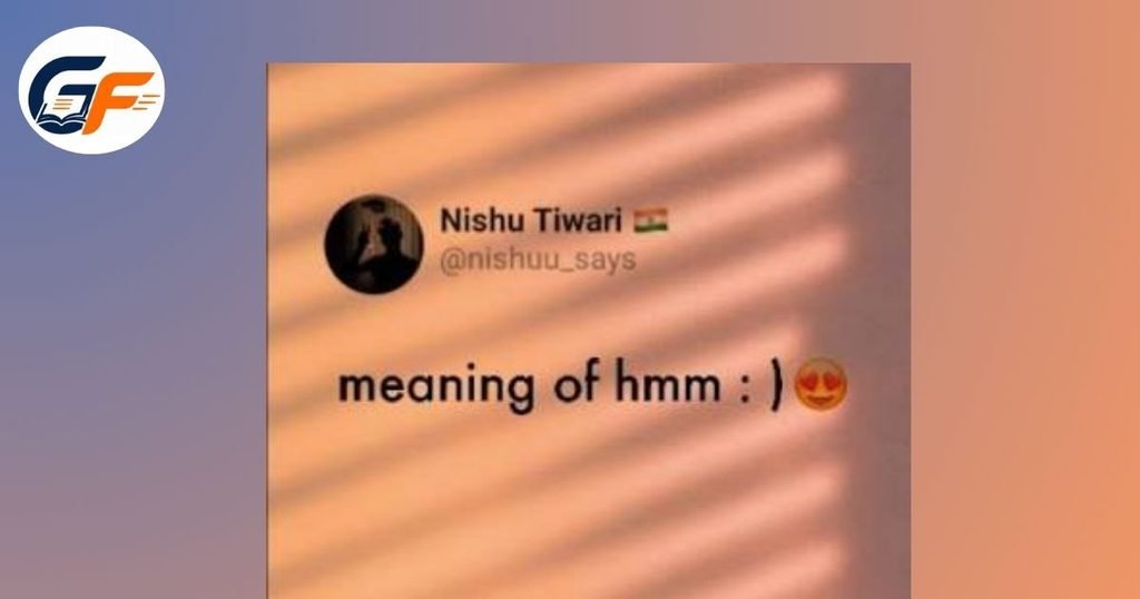 HMM Meaning In WhatsApp Chat