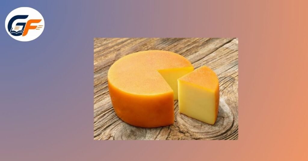 Gouda Cheese